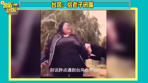 欢乐囧图 台风：给我闭嘴