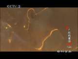 动物世界 动物世界 2010年 第64期