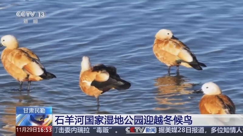 新闻直播间 《新闻直播间》 20251129 16:00