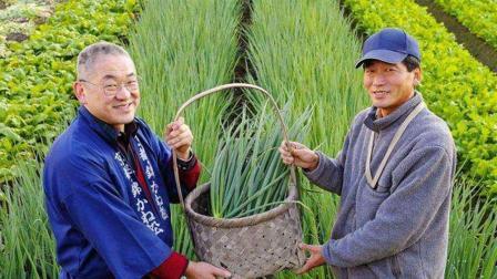 日本国土面积那么小，为什么还能出口大量农产品到中国?