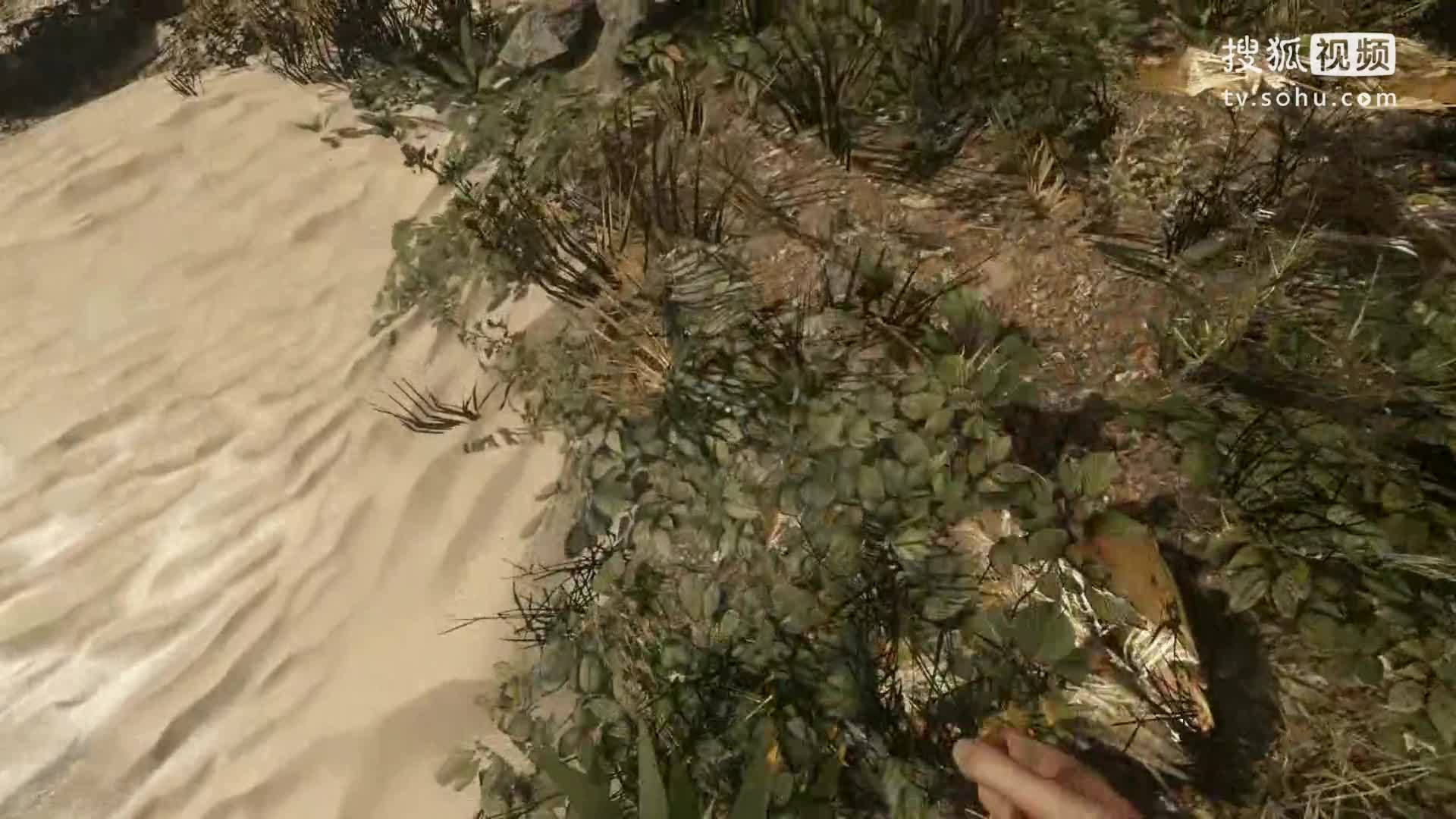 【炫罗】荒岛求生EP8 被鲨鱼咬QAQ