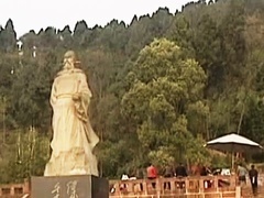 经典传奇 另类主角点赞录 怪树显灵之谜