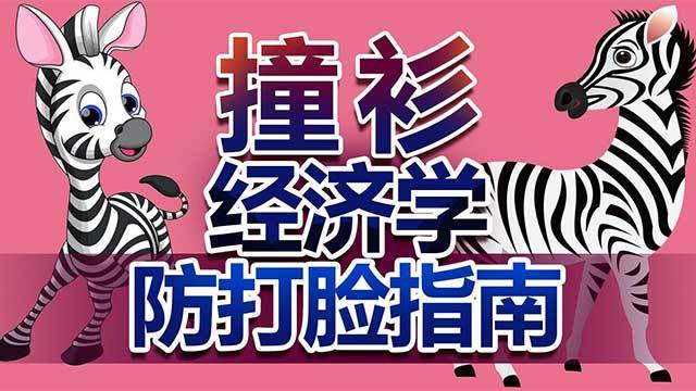 中国经济大讲堂 《央视财经V讲堂》 20190330 撞衫经济学防打脸指南