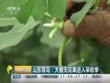中国财经报道 《中国财经报道》 20180815 16:00