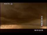 动物世界 动物世界 围城中的较量（一）