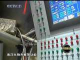 军事科技 军事科技 2010年 第36期