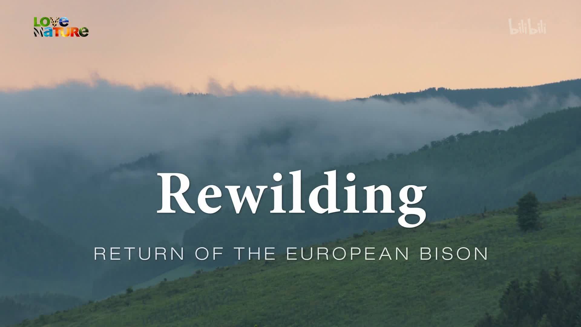 施泰因胡德湖畔放生计划