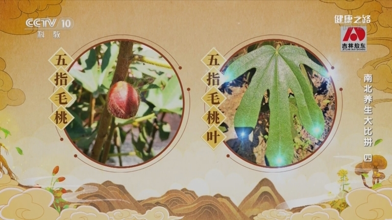健康之路 《健康之路》 20220502 南北养生大比拼（四）