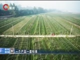 重庆新闻联播 《重庆新闻联播》 20170815