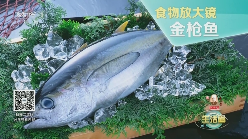生活圈 《生活圈》 20240829