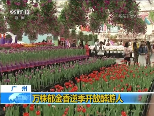 新闻直播间 《新闻直播间》 20181225 16:00
