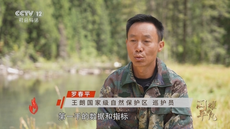 道德观察 《道德观察(日播版)》 20251004 闪耀的平凡——我在高原上“追”动物