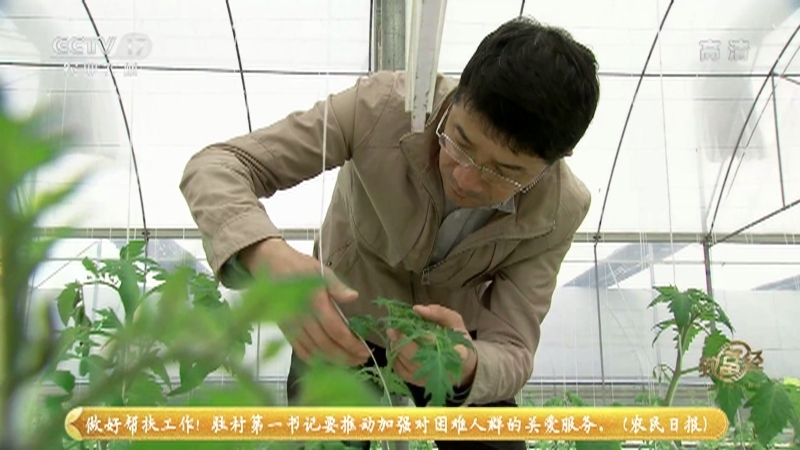 《致富经》 20210514 “大鱼哥”有绝招 靠鱼种菜