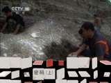 地理中国 《地理中国》 20110629 生命密码（上）