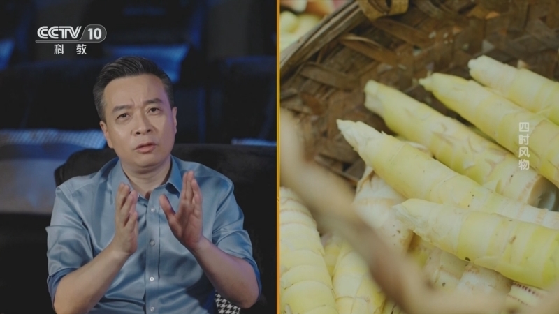 中国诗词大会放映室 《中国诗词大会放映室》 20240730 四时风物