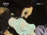 地理中国 《地理中国》 20160831 暑期特别节目·奇水疑云（下）