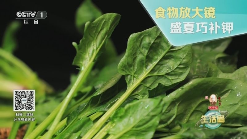 生活圈 《生活圈》 20240717