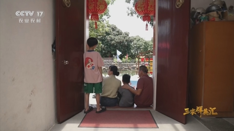 三农群英汇 《三农群英汇》 20260830 暑日荔香满村居