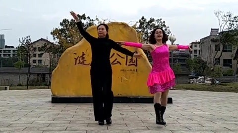 糖豆广场舞精选大众舞蹈 广场舞花样快四双人舞