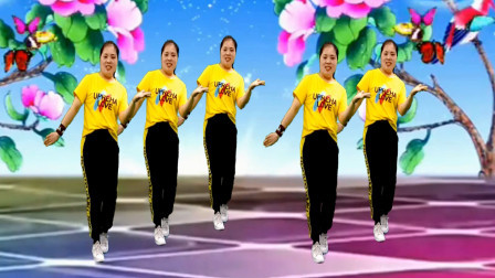 请欣赏一曲情歌广场舞 欢快大气 时尚简单又好看 背面演示