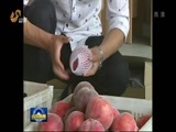 山东新闻联播 《山东新闻联播》 20160610