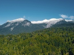 原始求生记 安第斯山脉（PRIMAL SURVIVOR- OVER THE ANDES）第1集：大西洋沿岸森林