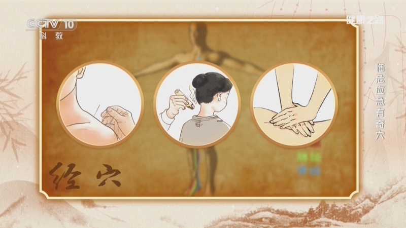 健康之路 《健康之路》 20260718 临危应急有奇穴