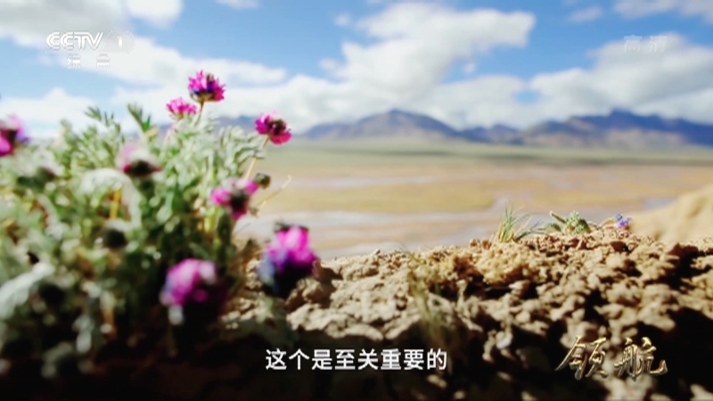 大型电视专题片领航 《领航》 第10集 绿水青山