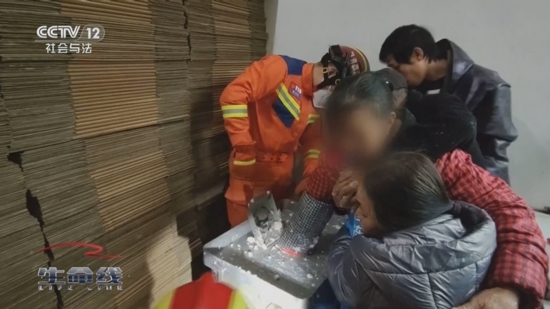 生命线 《生命线》 20240228