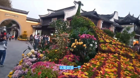 唱罢吹灯 锡惠公园菊花展太惊艳了