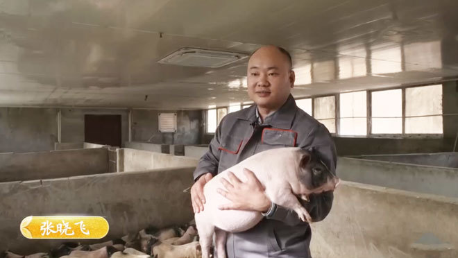 《致富经》 20210315 小香猪满山跑 废窑洞能生财