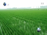 天津新闻 《天津新闻》 20170316