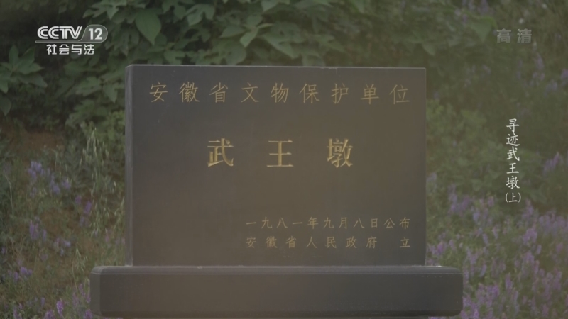 天网 《天网》 20220919 寻找武王墩（上）