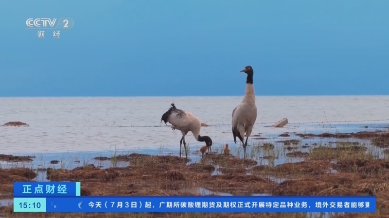 正点财经 《正点财经》 20260703 15:00