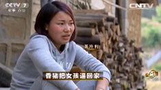 致富经 [致富经]香猪把女孩逼回家 20160531
