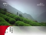 动物世界 《动物世界》 20171028 鳄鱼赴宴