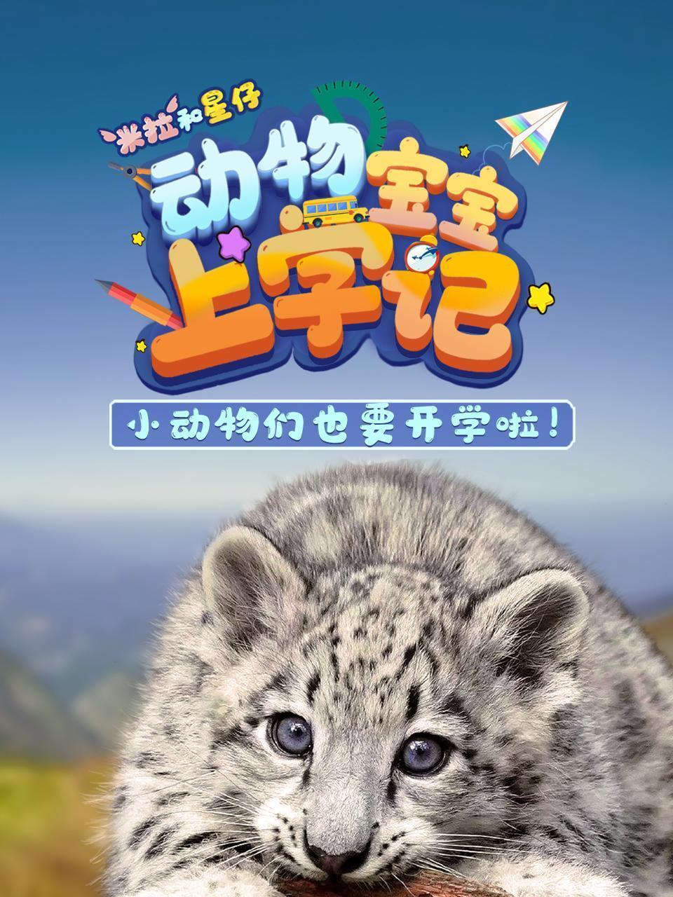 动物宝宝上学记