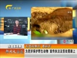 新闻夜总汇 《新闻大通道》 20160229