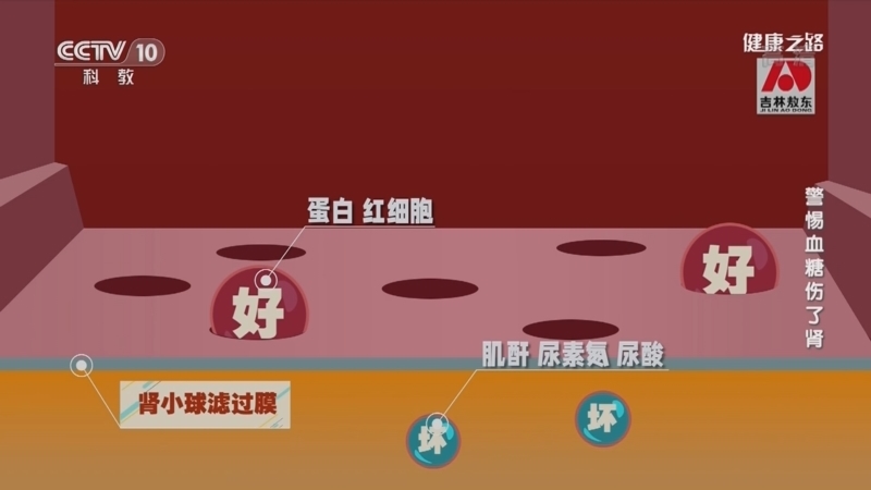健康之路 《健康之路》 20220622 警惕血糖伤了肾
