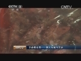 消费主张 《消费主张》 20150127 节前探市场——四大名鲜今何在