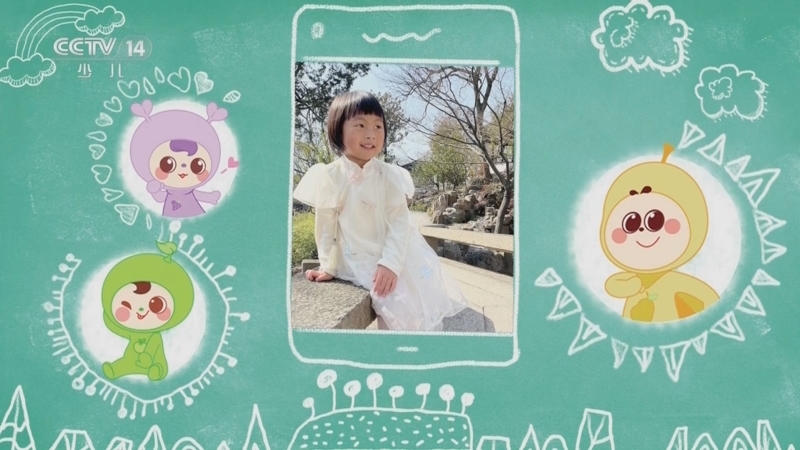 小小智慧树 《小小智慧树》 20241204