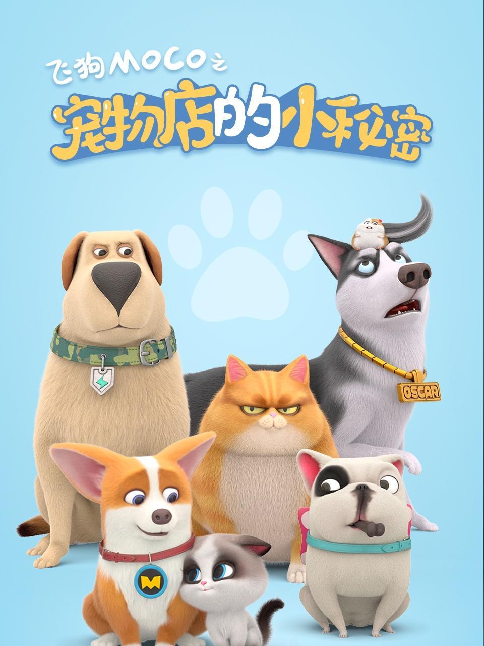 飞狗MOCO之宠物店的小秘密