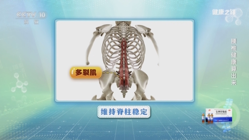 健康之路 《健康之路》 20260202 腰椎健康算出来