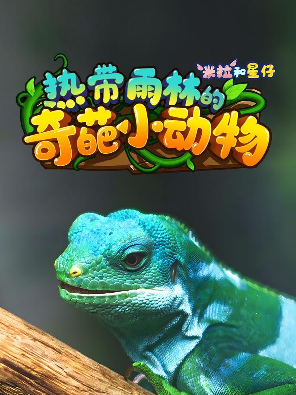 米拉和星仔：热带雨林的奇葩小动物