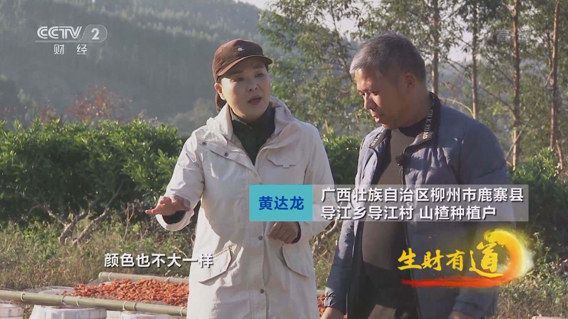 生财有道 《生财有道》 20220107 咱们家乡有特产：青果黄豆生财富