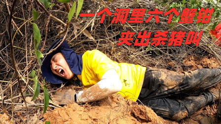 思乡渔夫赶海 1个螃蟹洞里掏出4只大螃蟹，渔夫赶海几十年，还是头一回遇到