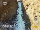 远方的家 《远方的家》特别节目 极限的挑战 20160817