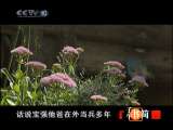 向前进 《向前进》王宝强的小时候 子午书简 20101128