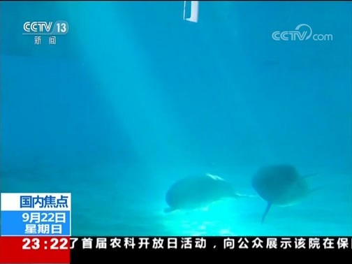24小时 《24小时》 20190922