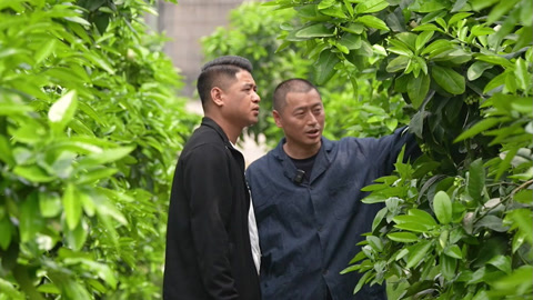 种植前线 定制套餐助力农民增产增收